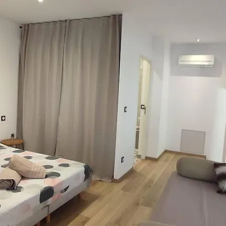 Collioure, Type Loft De 80m2 Avec Clim, Terrasse Et Parking Devant L'appartement.